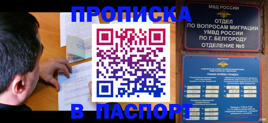 прописка для кредита в Шилке